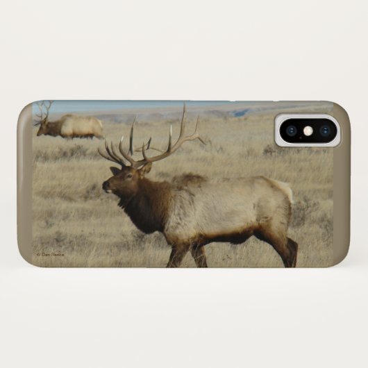 E55 Bull Elk Big Bull Case-Mate iPhone Hülle (Rückseite (Horizontal))