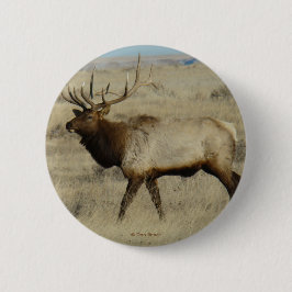 E55 Bull Elk Button