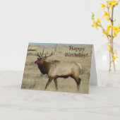 E55 Bull Elk Karte (Gelbe Blume)