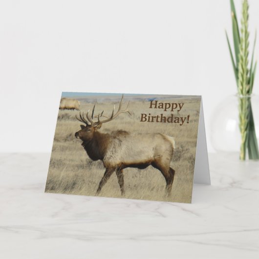 E55 Bull Elk Karte (Vorderseite)