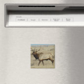 E55 Bull Elk Magnet (In Situ (Geschirrspüler))