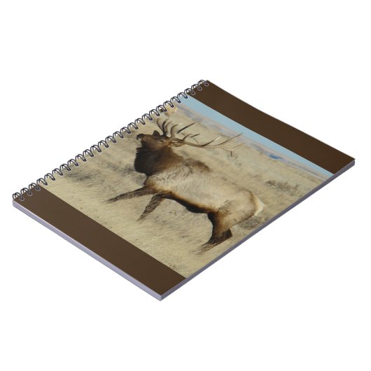 E55 Bull Elk Notizblock (Linke Seite)