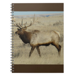 E55 Bull Elk Notizblock