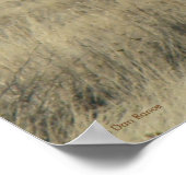 E55 Bull Elk Poster (Ecke)