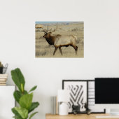 E55 Bull Elk Poster (Heimbüro)