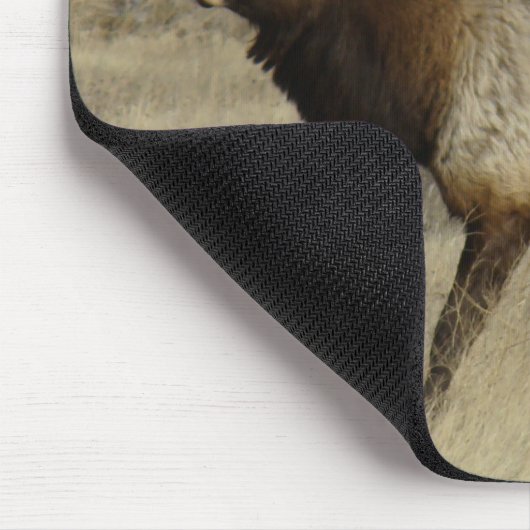 E55 Stier Elche großer Stier Mousepad (Ecke)