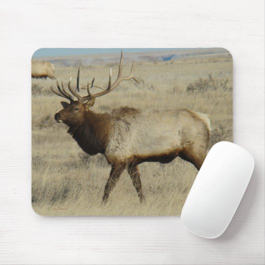 E55 Stier Elche großer Stier Mousepad (Mit Mouse)