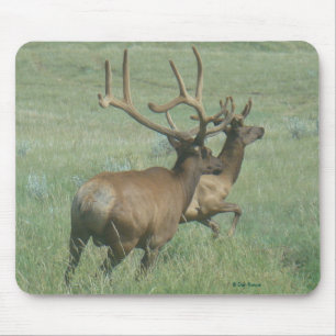 E56 Bull-Elch in Samt Mousepad