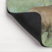 E56 BullElch in Velvet Mousepad (Ecke)
