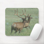 E56 BullElch in Velvet Mousepad (Mit Mouse)