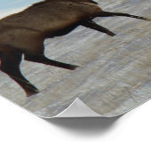 E57 Bull Elk Lucky 13 Poster (Ecke)