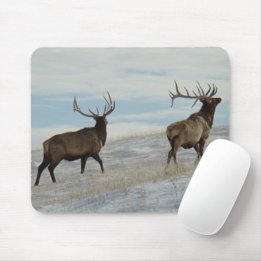 E57 Stier Elche glückliche 13 Stier Mousepad (Mit Mouse)