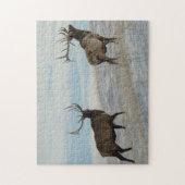 E57 Stier Elche glückliche 13 Stier Puzzle (Vertikal)