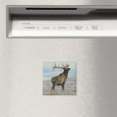 E58 Bull Elk Lucky 13 Bull Magnet (In Situ (Geschirrspüler))