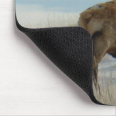 E58 Bull Elk Lucky 13 Bull Mousepad (Ecke)