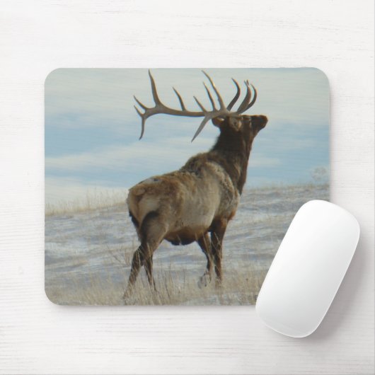 E58 Bull Elk Lucky 13 Bull Mousepad (Mit Mouse)