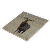 E59 Bull Elk Fliese (Seite)