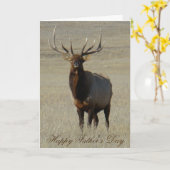 E59 Bull Elk Karte (Gelbe Blume)