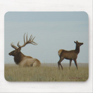 E5 Bull-Elch und Jährling Mousepad