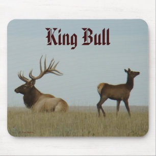 E5 Bull-Elch und Jährling Mousepad