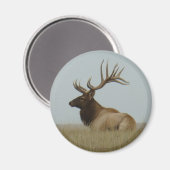 E5 Bull Elk Big Bull Magnet (Vorderseite/Rückseite)