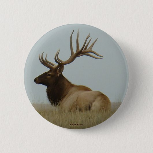 E5 Bull Elk Großer Bulle Button (Vorderseite)