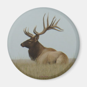 E5 Bull Elk Großer Bulle Magnet