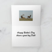 E5 Bull Elk und Yearling Karte (Innenseite)