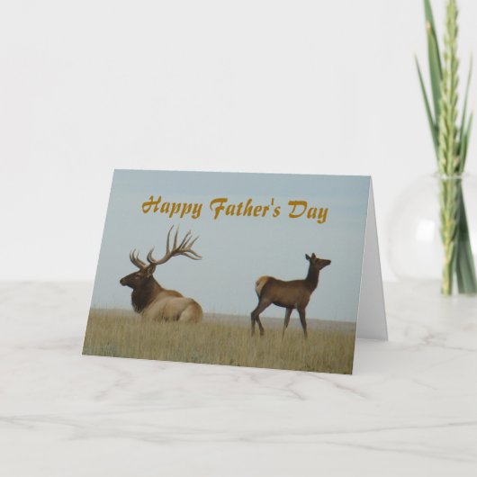 E5 Bull Elk und Yearling Karte (Vorderseite)