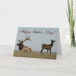 E5 Bull Elk und Yearling Karte