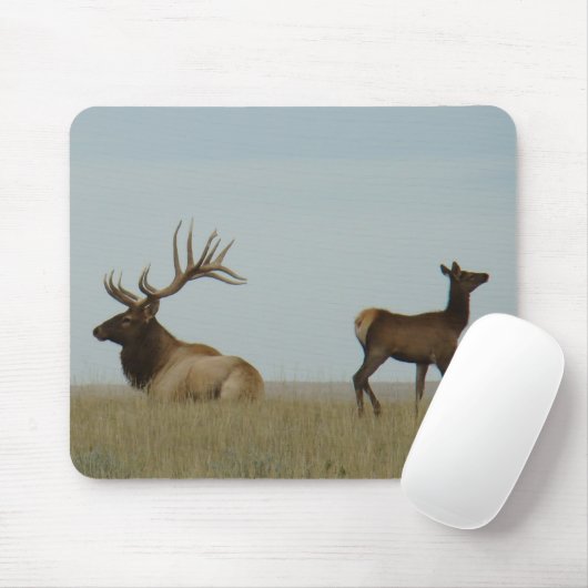 E5 Bull Elk und Yearling Mousepad (Mit Mouse)