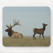 E5 Bull Elk und Yearling Mousepad (Vorne)