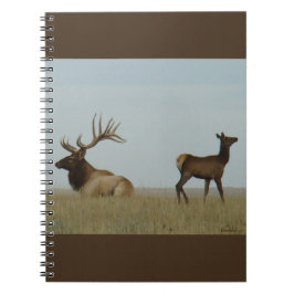 E5 Bull Elk und Yearling Notizblock