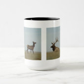 E5 Bull Elk und Yearling Tasse (Zentrum)