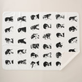 E5 Klassenzimmer Sherpadecke (Vorderseite (Horizontal))