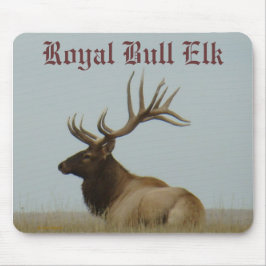 E5a Stier Elche enormer Stier Mousepad