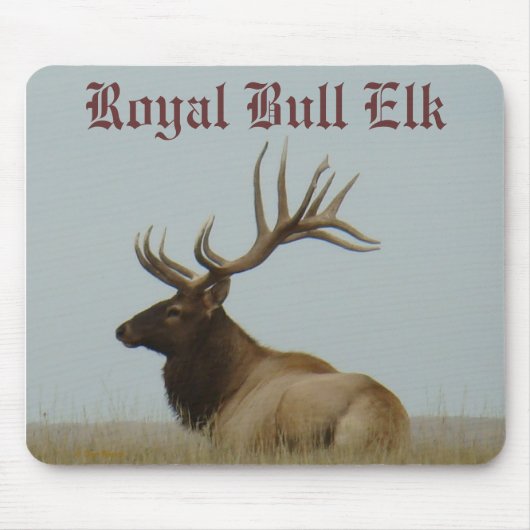 E5a Stier Elche enormer Stier Mousepad (Vorne)