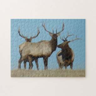E60 Bull-Elch vor dem Himmel Puzzle