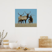 E60 Bull Elk Sky Lined Poster (Küche)