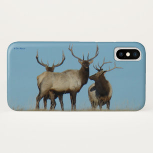 E60 Bullklee Case-Mate iPhone Hülle