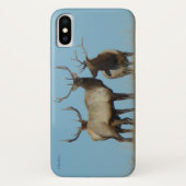 E60 Bullklee Case-Mate iPhone Hülle (Rückseite)