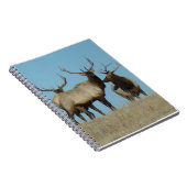 E60 Bullklee Notizblock (Rechte Seite)