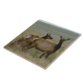 E61 Kuhweih und -kalb Fliese (Seite)