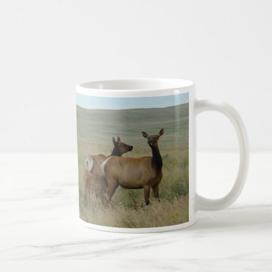 E61 Kuhweih und -kalb Kaffeetasse (Rechts)