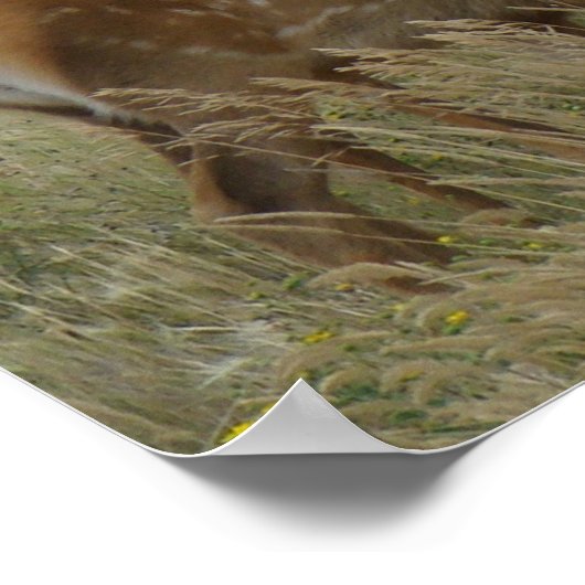 E61 Kuhweih und -kalb Poster (Ecke)