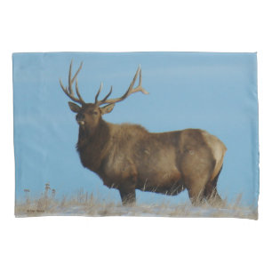 E62 Bull Elk am Himmel Kissenbezug