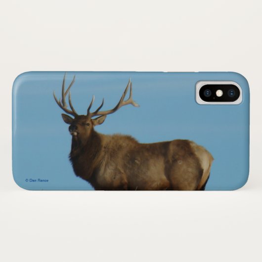 E62 Bull Elk Sky Lined Case-Mate iPhone Hülle (Rückseite (Horizontal))