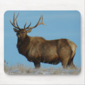 E62 Bull Elk Sky Lined Mousepad (Vorne)