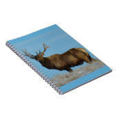E62 Bull Elk Sky Lined Notizblock (Rechte Seite)