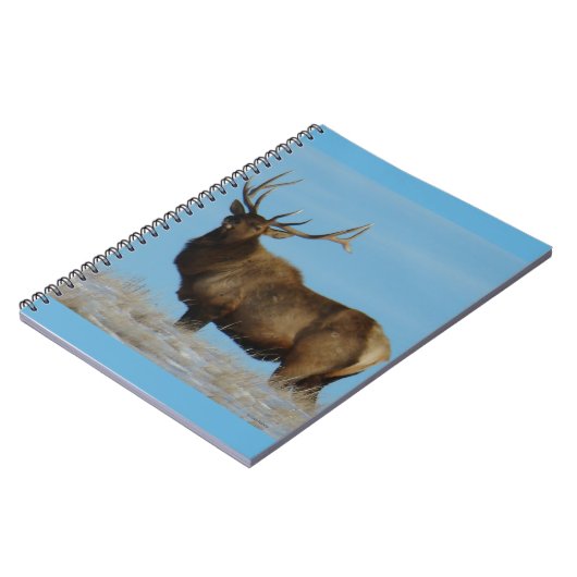 E62 Bull Elk Sky Lined Notizblock (Linke Seite)